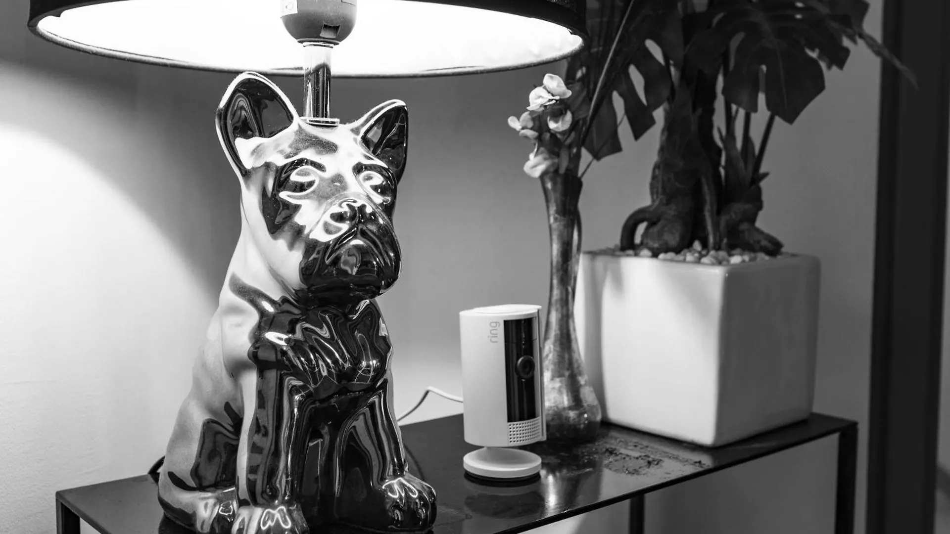 Bed & Breakfast D'amis - D'hotes-b&b-guest House