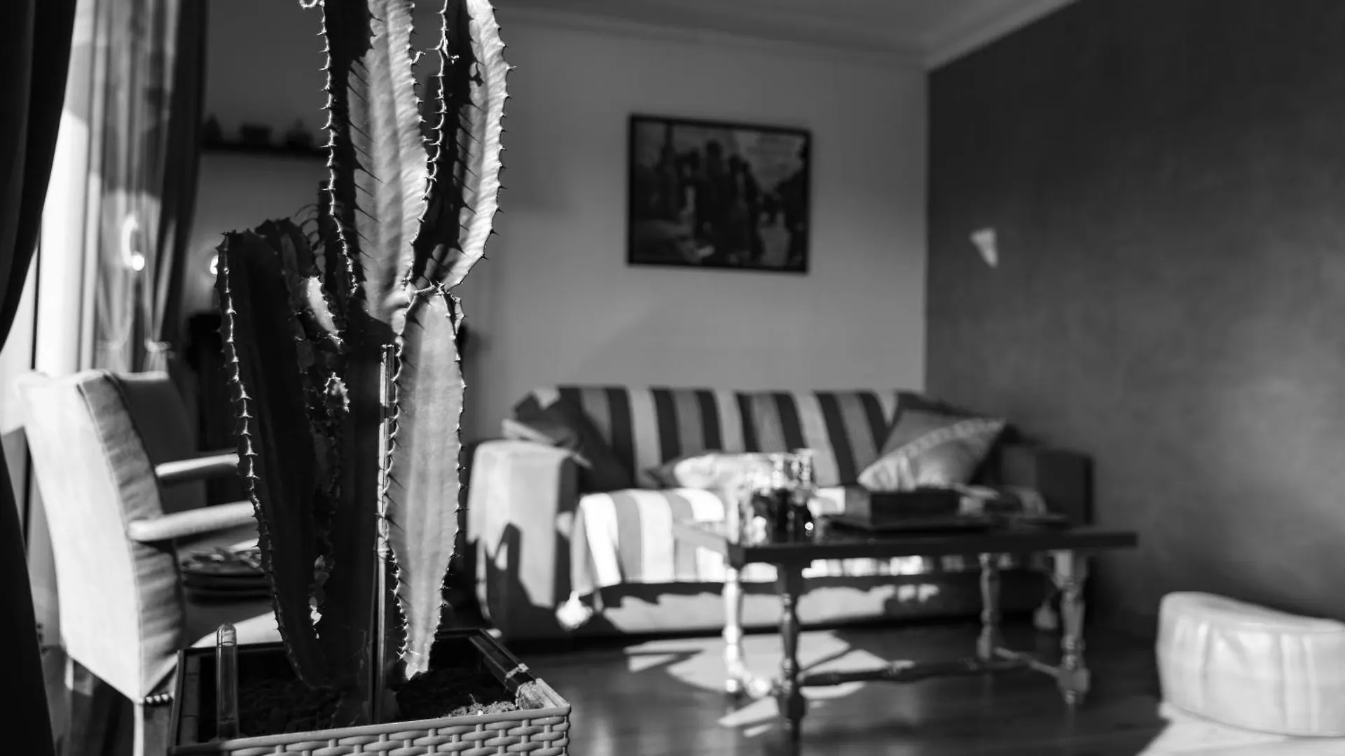 Alojamento de Acomodação e Pequeno-almoço D'amis - D'hotes-b&b-guest House 3*